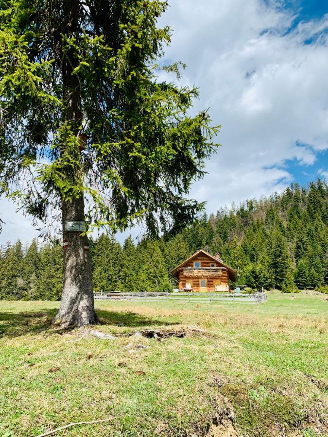 Bergheimat Apartamento Bad Goisern Exterior foto